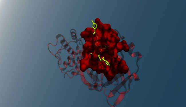 Scientists uncover evidence ancient RNA molecules could repair themselves