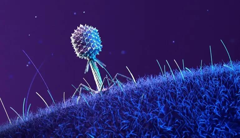 AI-designed viruses show promise against antibiotic-resistant bacteria
