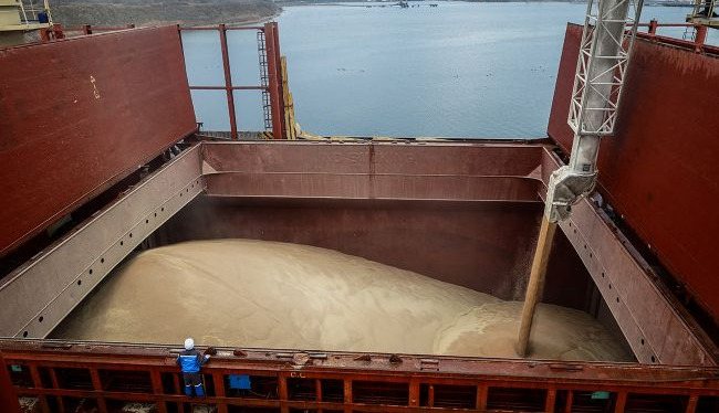 Ukraine’s agricultural exports could halve as Russian attacks disrupt Black Sea ports