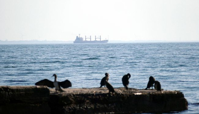 Russian strike on Liberian-flagged cargo ship kills sailor, injures three