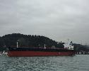 Tanker expected to deliver Russian diesel to US arrives with fertilizer instead