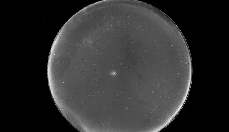 Earth-sized planet may orbit two stars just 16 light-years away