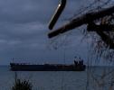 Russia’s shadow fleet includes 1,229 large vessels, most under sanctions