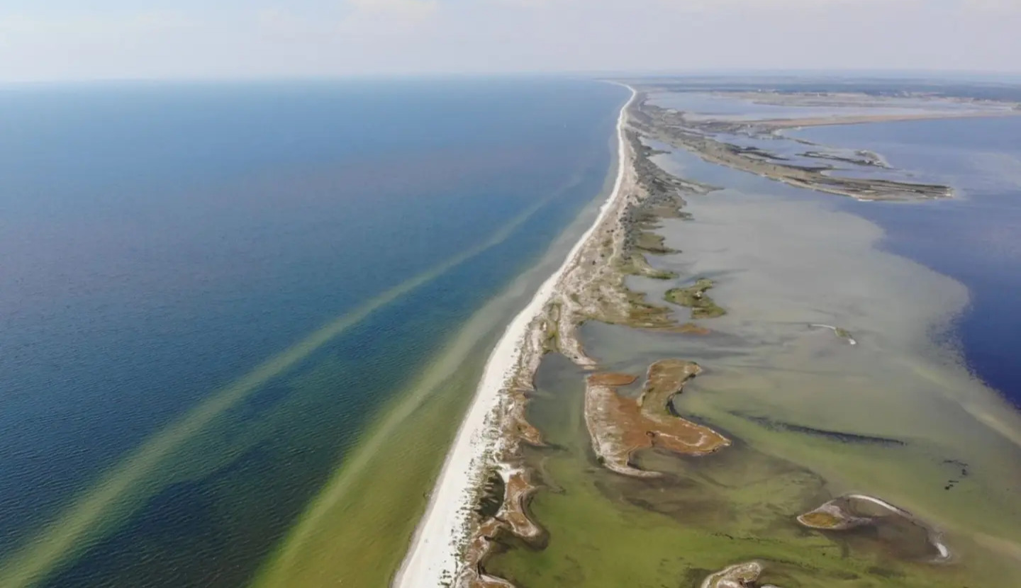 Russians have effectively destroyed the Kinburn Spit and the Askania-Nova reserve — Pletenchuk