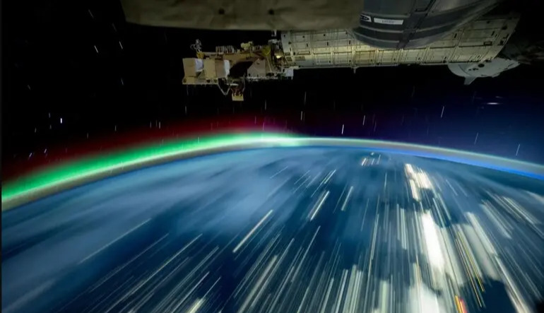 Returned and sprouted: how 80% of moss spores survived a 9-month journey in space