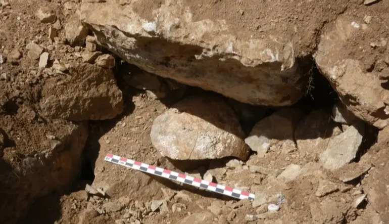 Archaeologists uncover a grim Roman tactic used to intimidate Celtic warriors