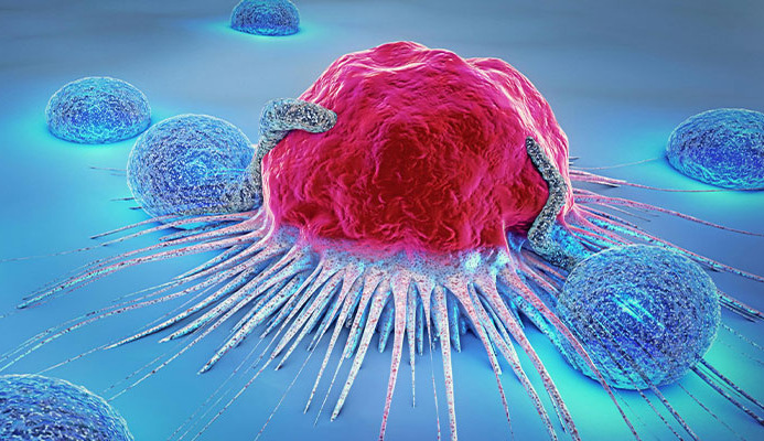 Immune cell profile predicts cancer survival
