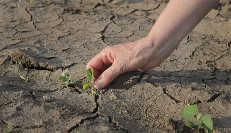 Europe’s water reserves are drying up: satellites reveal catastrophic changes over 22 years — The Guardian