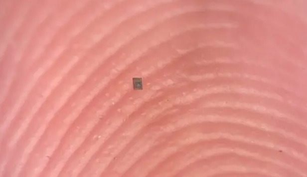Scientists have created the world’s smallest robot: smaller than a grain of salt, but with its own “brain”