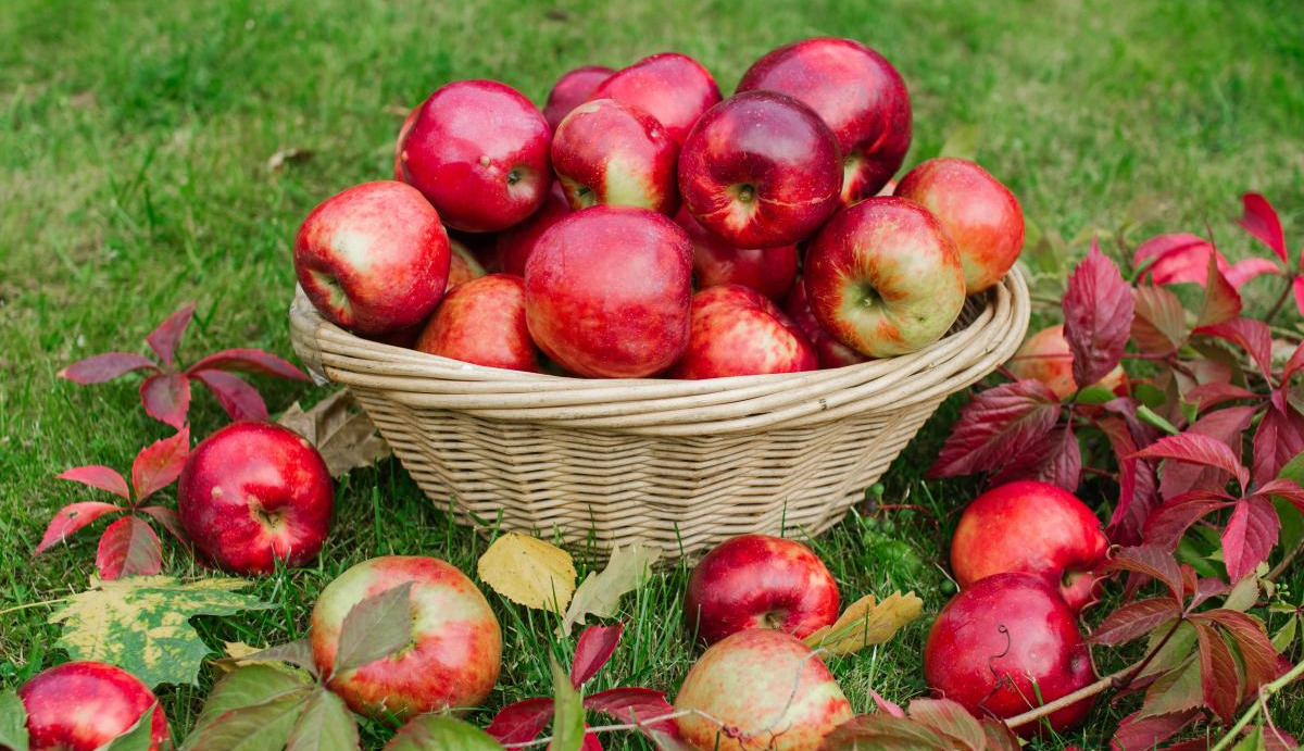 7 health benefits of eating apples