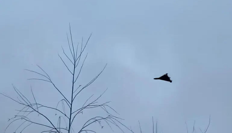 Russians shelled civilian vessels, injuring at least one person