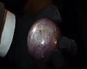 $300 million treasure: world’s largest purple star sapphire discovered in Sri Lanka