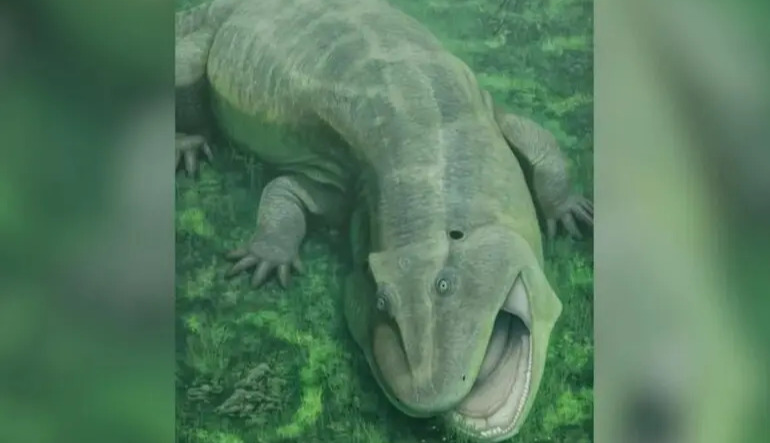 Scientists discover a 275-million-year-old "living fossil" with uniquely twisted jaws