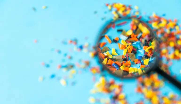 Microplastics weaken the fight against infections: particles may “clog” immune cells