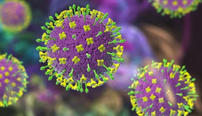 Viruses don’t need special mutations to start infecting humans — scientists