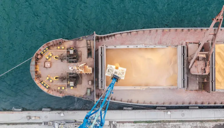 Ukraine’s wheat exports down 25%: causes and farmers’ response