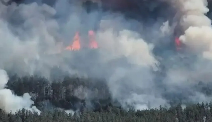 A large forest fire in the Chernihiv region cannot be extinguished due to Russian FPV drones and other factors — reports NV