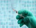 New injection shows potential to eliminate cancer tumors, study finds