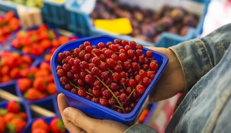 Seasonal fruits and vegetables in Ukraine become cheaper despite cold weather