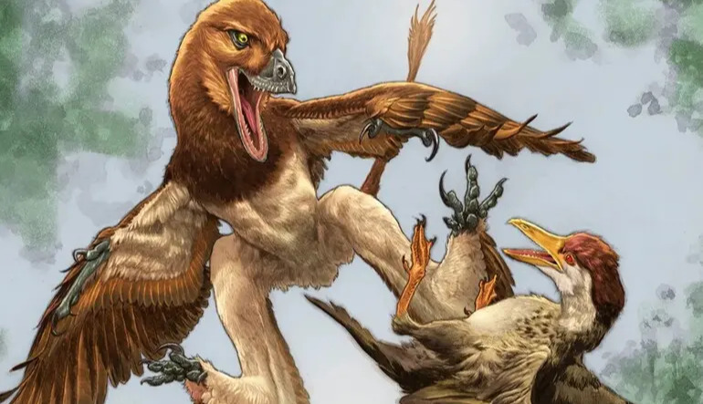 “Four-winged dragon”: China discovers fossil of a velociraptor relative