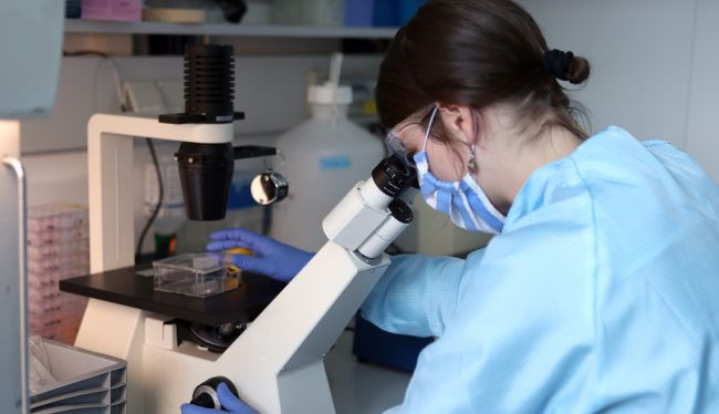 Ukraine’s Foreign Ministry responds to claims about “biolabs”