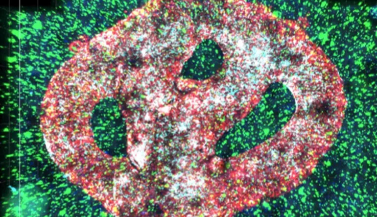 Scientists discover a gentle light-based therapy to treat cancer